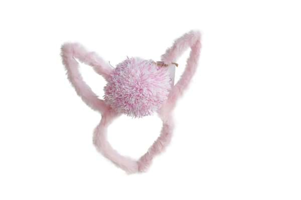 Soft Pink Bunny Taç resmi